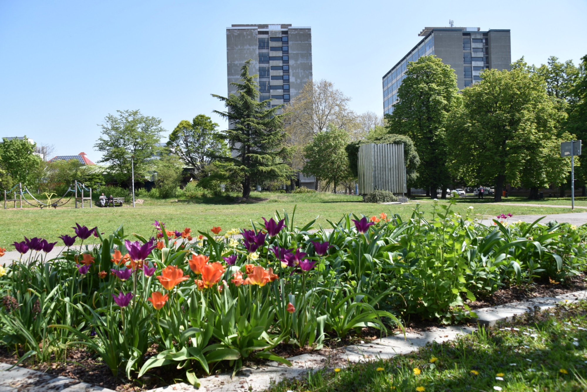 Campus Stadtmitte im Frühling.