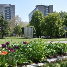 Spring on campus Stadtmitte