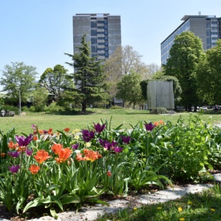 Campus Stadtmitte im Frühling.